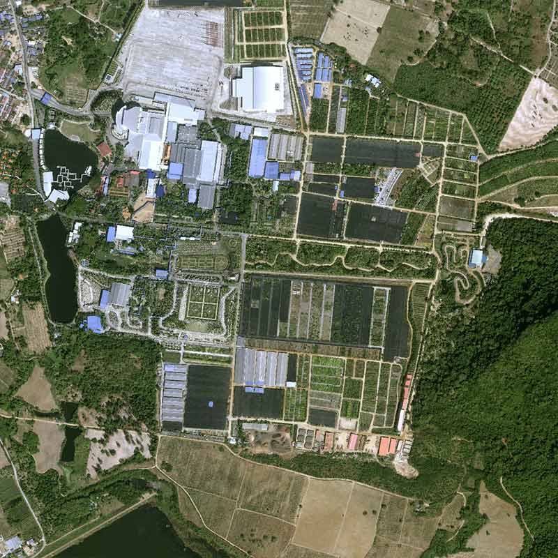 Pléiades Neo image satellite - Nong Nooch Tropical Botanical in Pattaya, Thailand - 30cm resolution