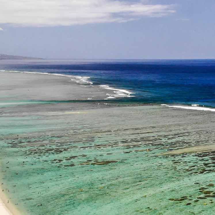 Case Study - Pléaides Neo Coral Detection and Mapping 5