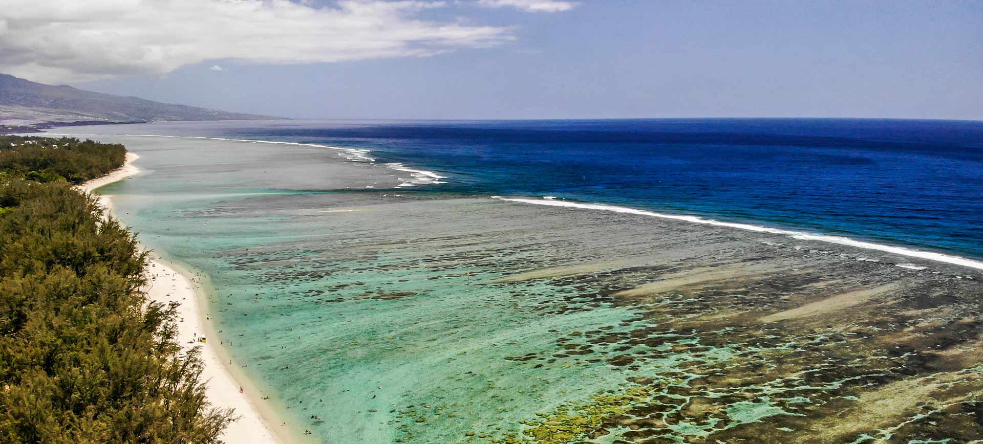 Live coral detection with 30cm resolution Pléiades Neo for monitoring and mapping in La Réunion